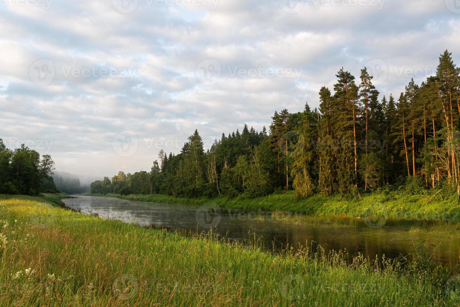 Summer Landscapes With River in Latvia photo