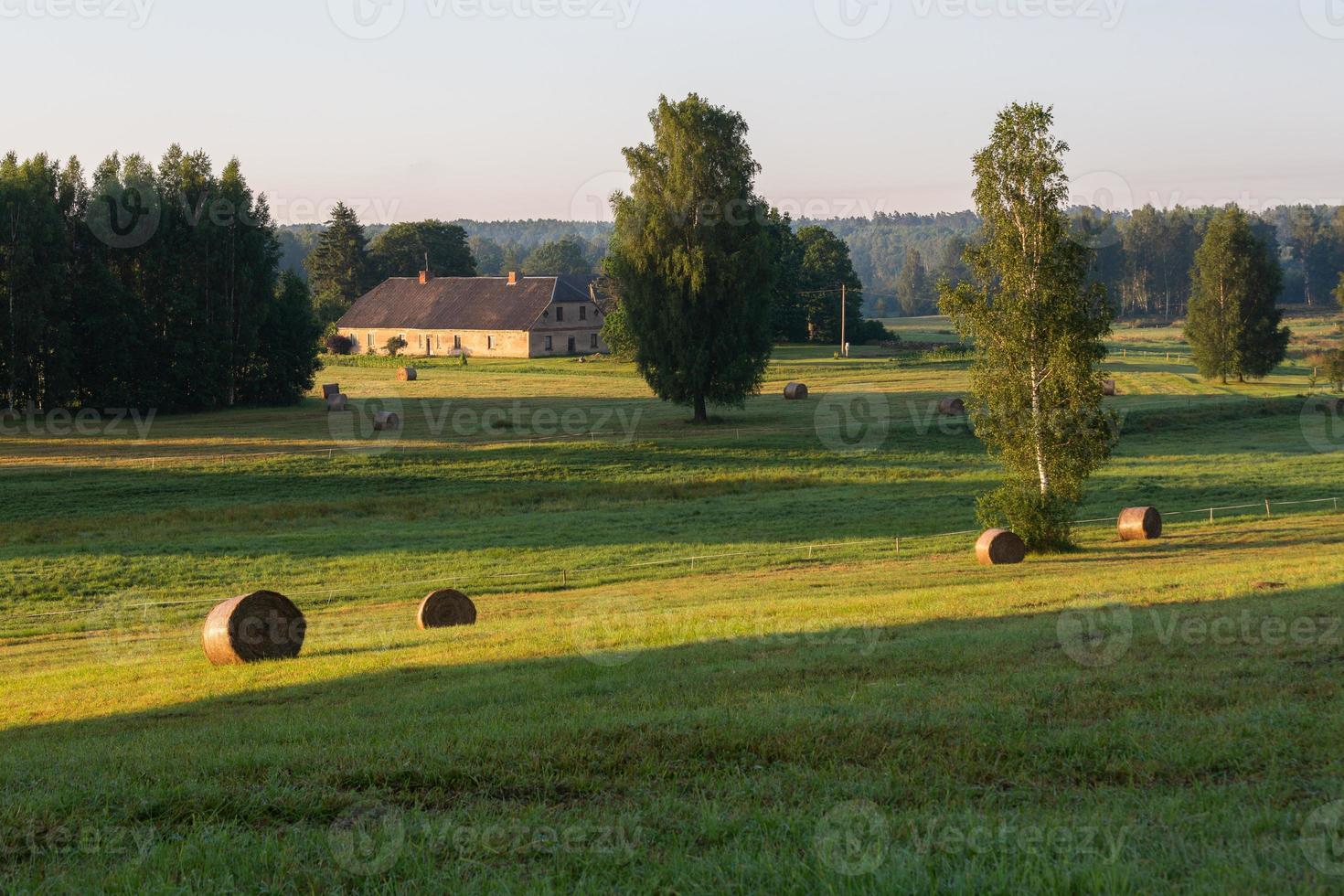 paisajes de verano de Letonia foto