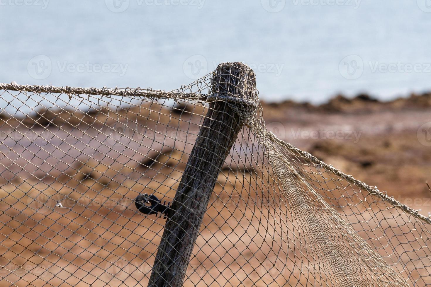 Summer Landscapes from Mmuhu Island photo