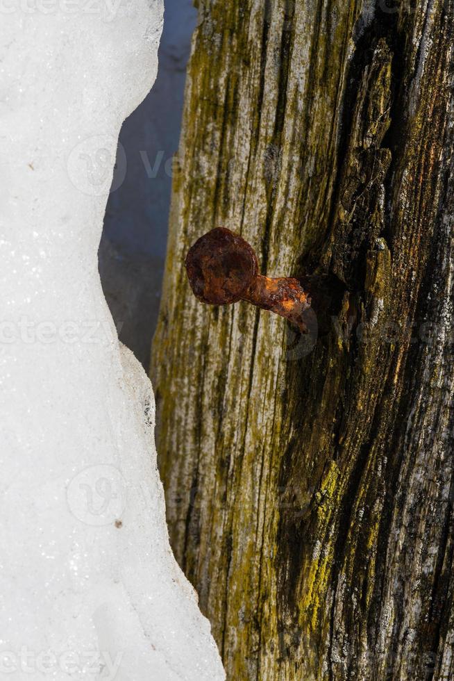 Ice Drifts in the Baltic Sea photo