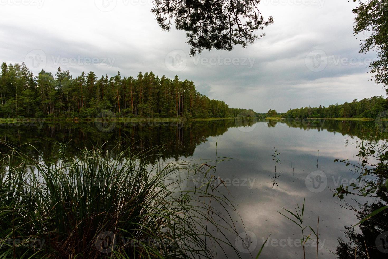 Latvian Springtime Landscapes photo