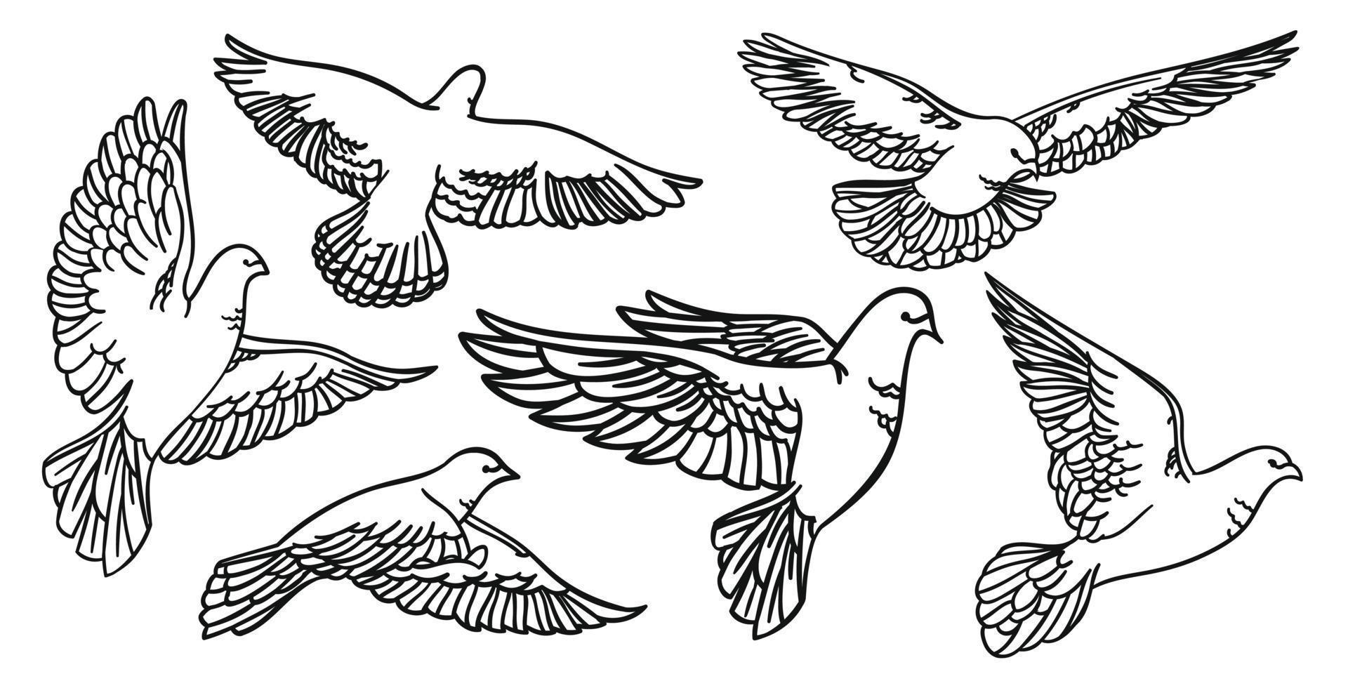 poner pájaros en vuelo. palomas aisladas siluetas y contornos. vector