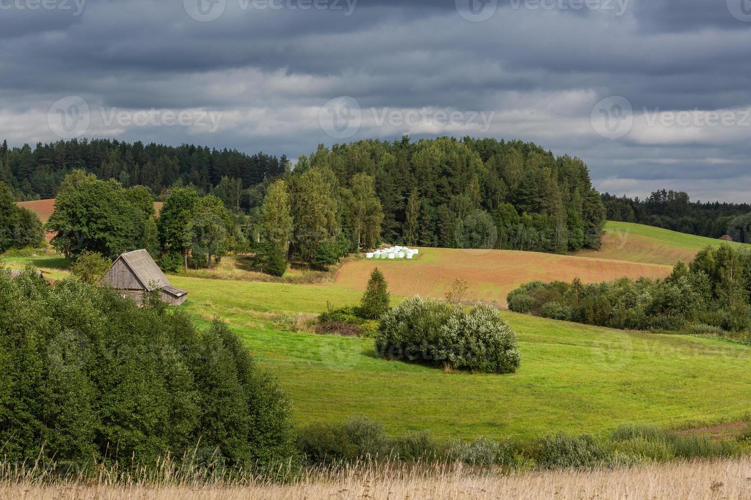 paisajes de verano de Letonia foto