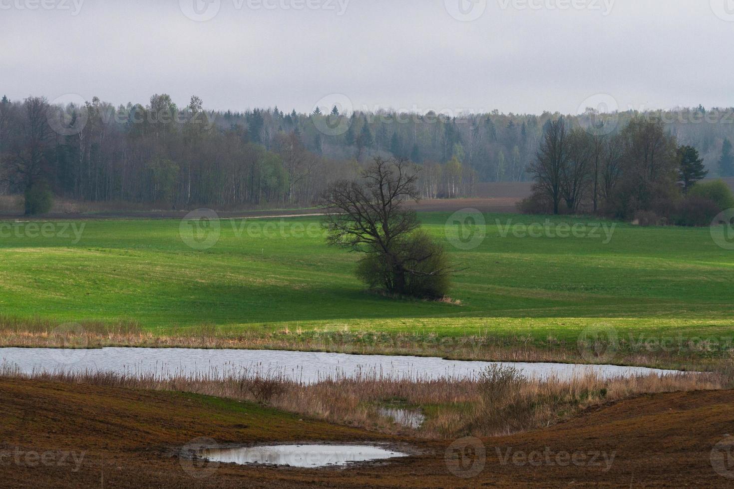 Latvian Springtime Landscapes photo