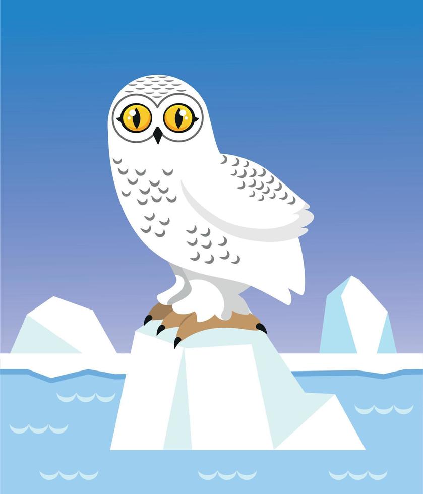 tarjeta educativa con un búho blanco polar y una inscripción en un fondo azul con copos de nieve. una imagen de un ave salvaje del ártico y alaska en un lindo estilo para niños. colección de invierno vector