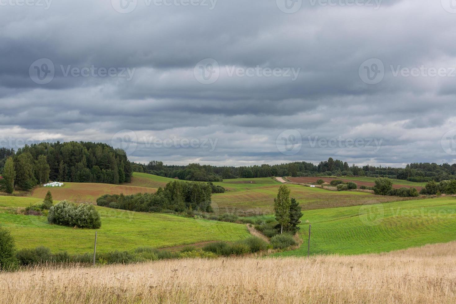 Latvian summer landscapes photo