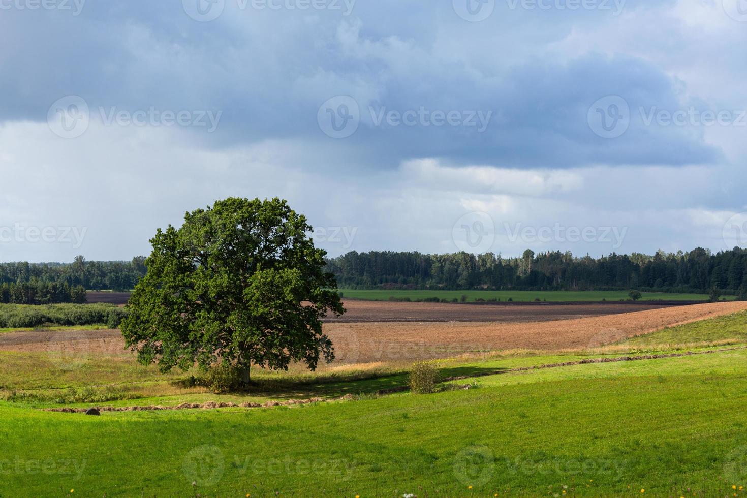 Latvian autumn landscape photo