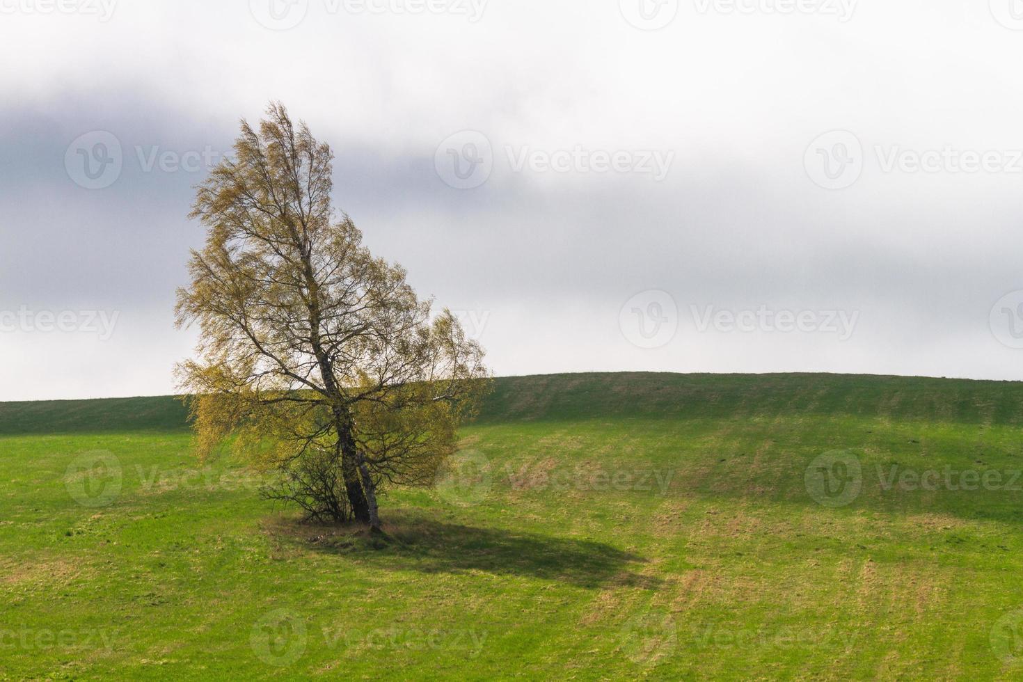 Latvian Springtime Landscapes photo