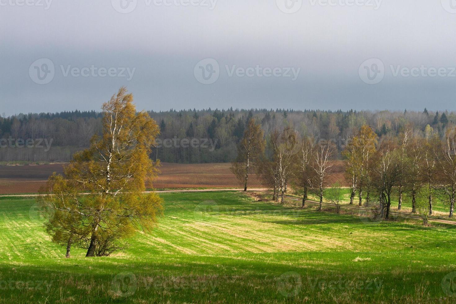 paisajes de primavera de letón foto