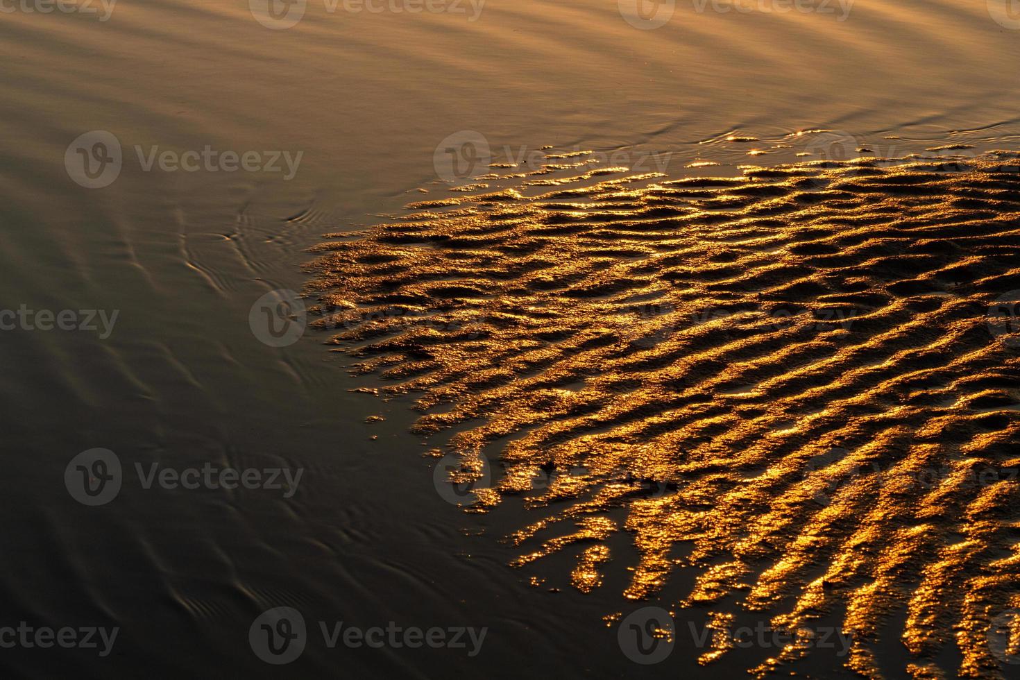 Baltic Sea Summer Landscapes at Sunset photo