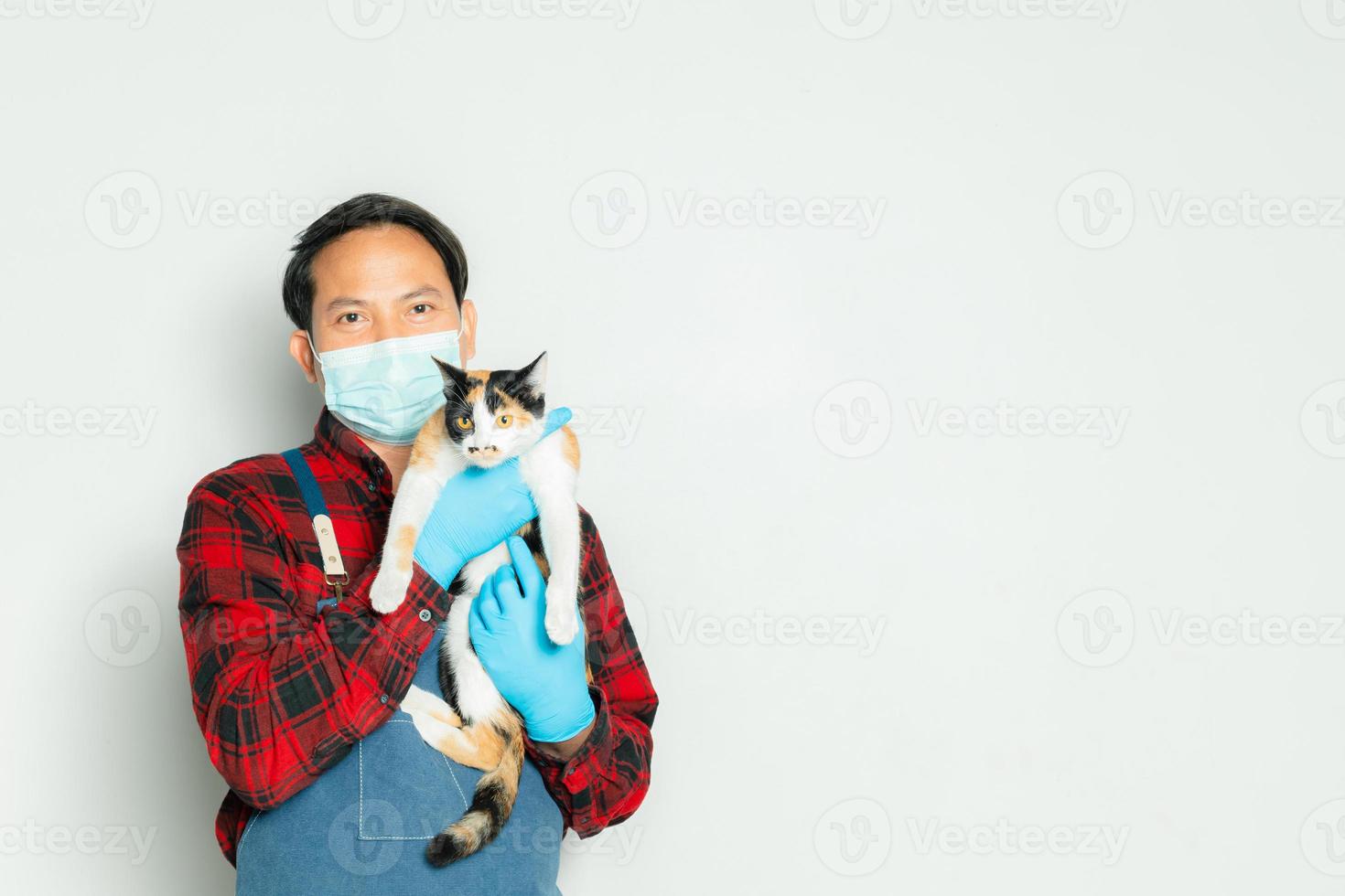 Pet owner affectionately holds a cat of 3 colors. photo