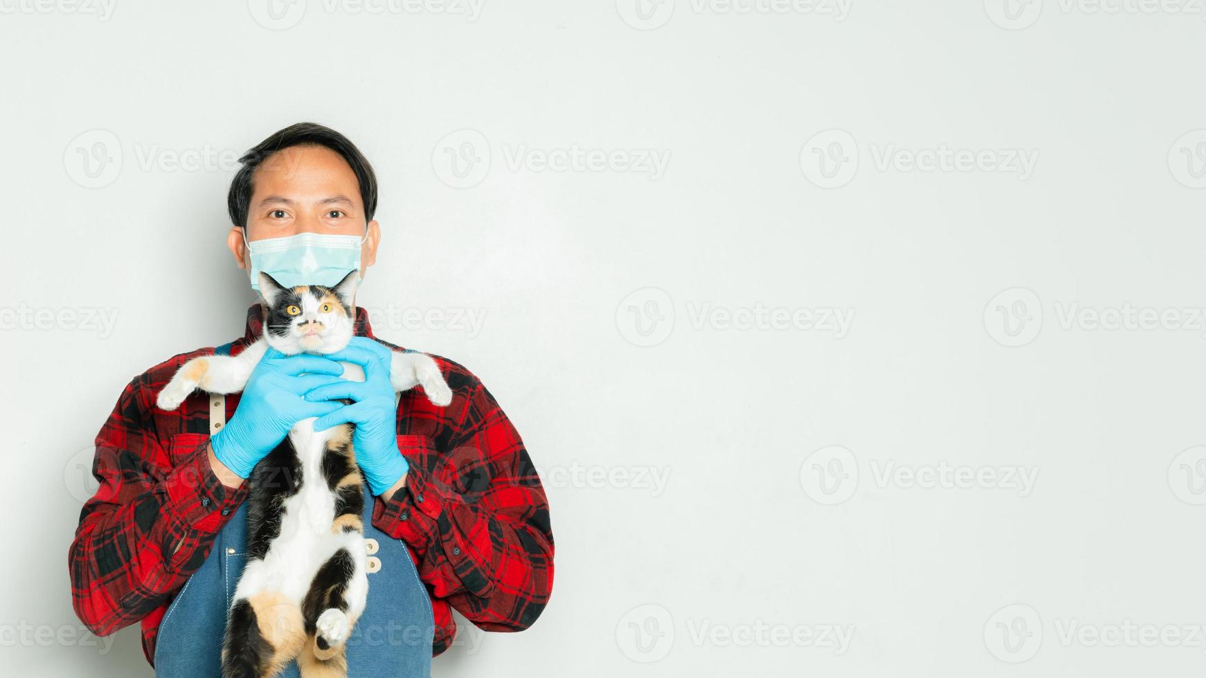 el dueño de la mascota sostiene cariñosamente a un gato de 3 colores. foto