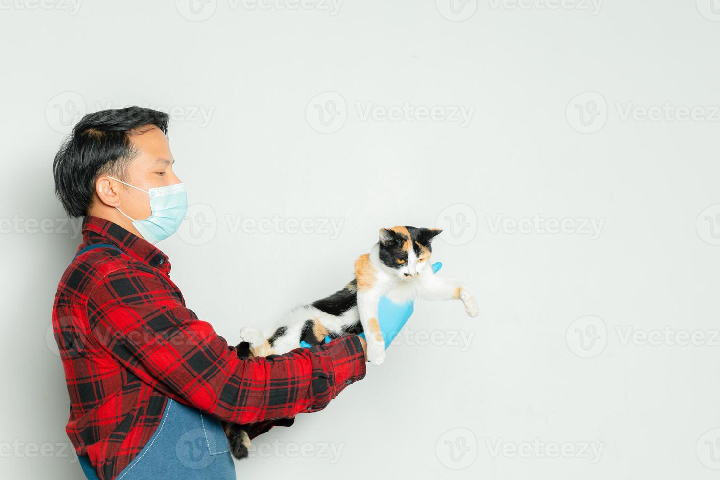 el dueño de la mascota sostiene cariñosamente a un gato de 3 colores. foto