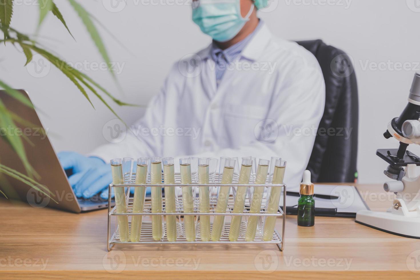 Cannabis researchers are doing scientific experiments. photo