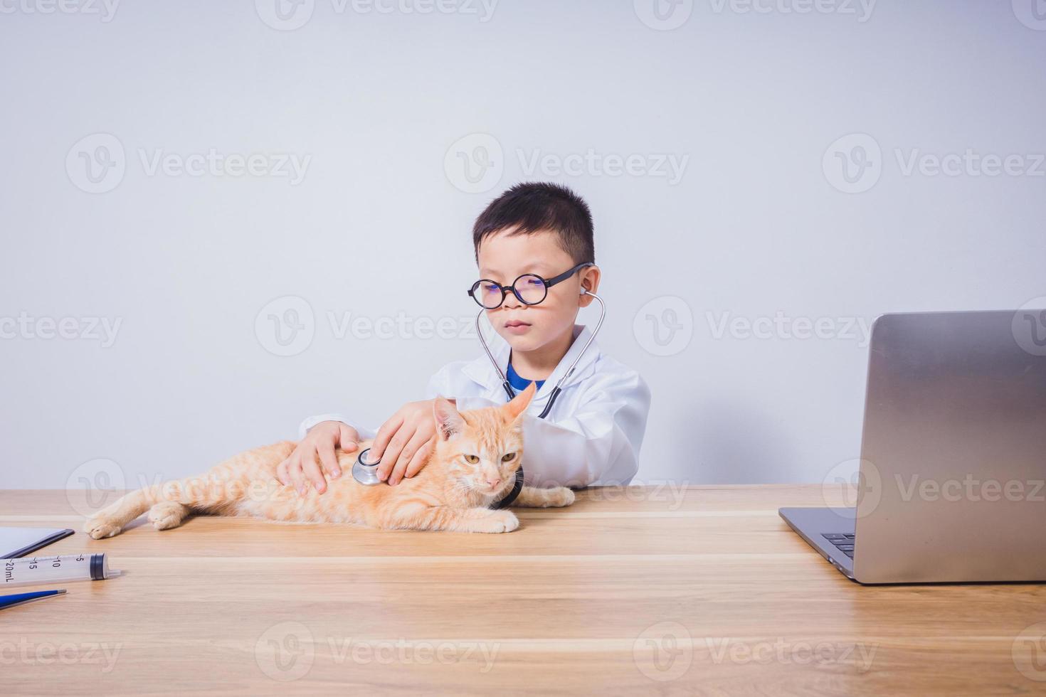 médico masculino asiático examinando un gato foto