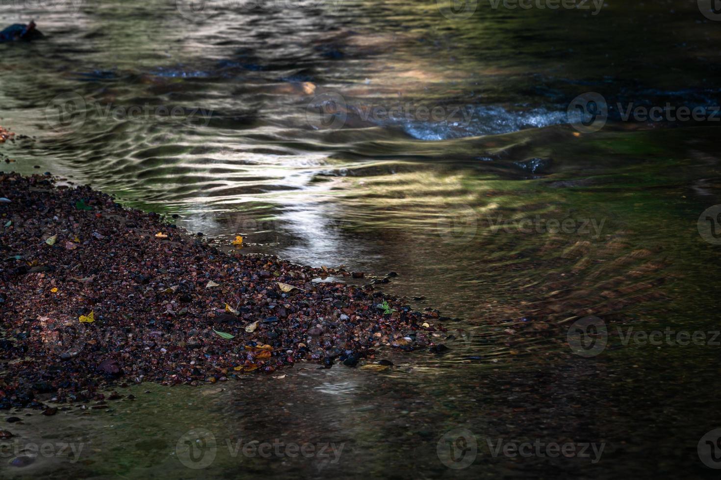 pequeño río forestal en verano con fondo verde foto