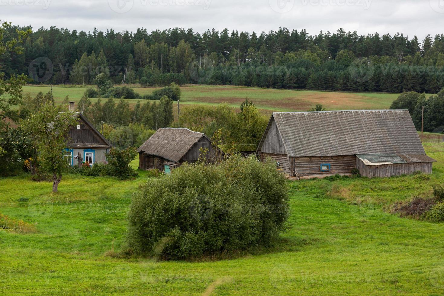 Latvian summer landscapes photo