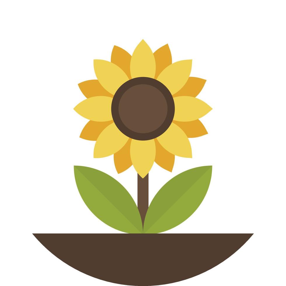 sunflower illustration in minimal style vector