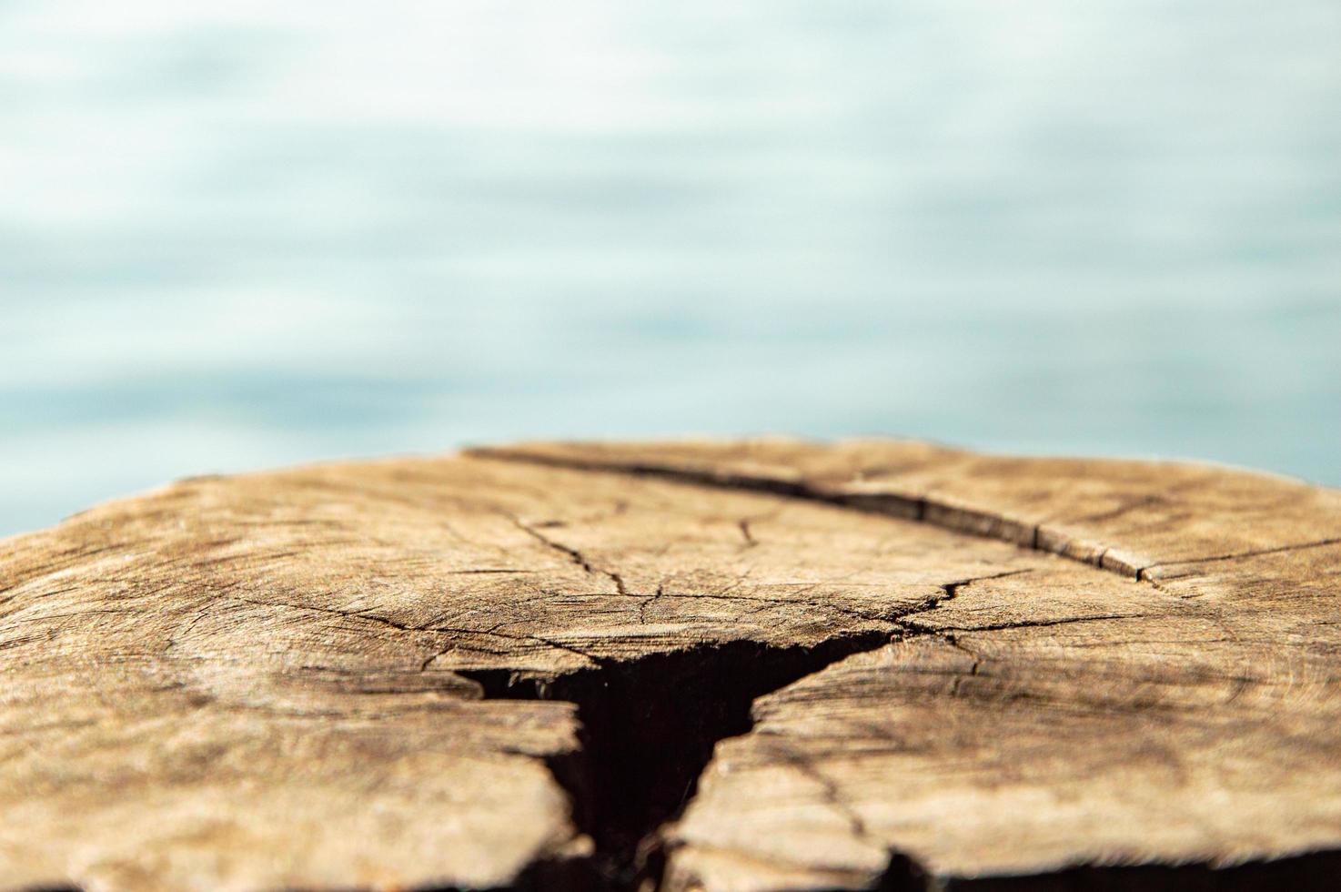 brown stump table  Blurred background, indigo water  sunny outdoor photo