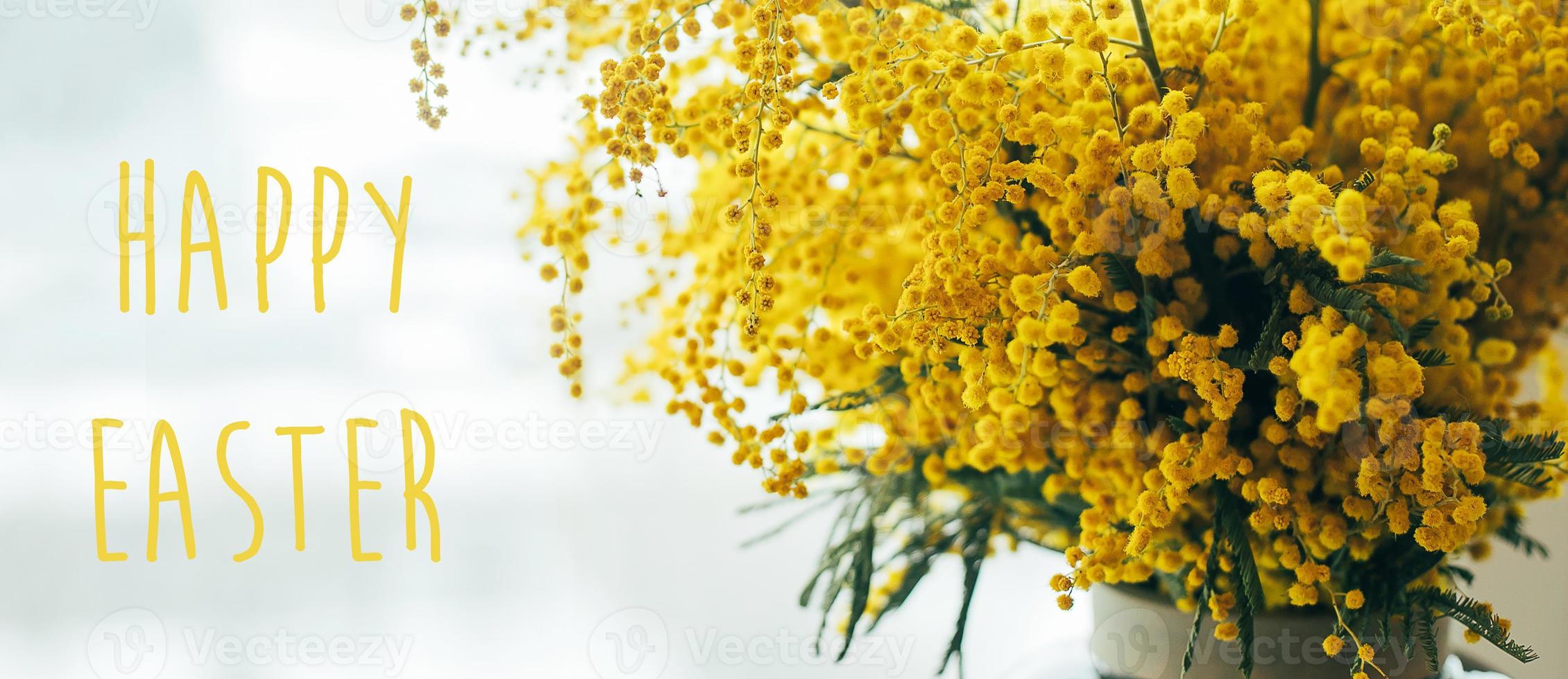 Happy Easter. Bouquet of yellow mimosa flowers. 8 March, women's day concept. Postcard for holiday photo