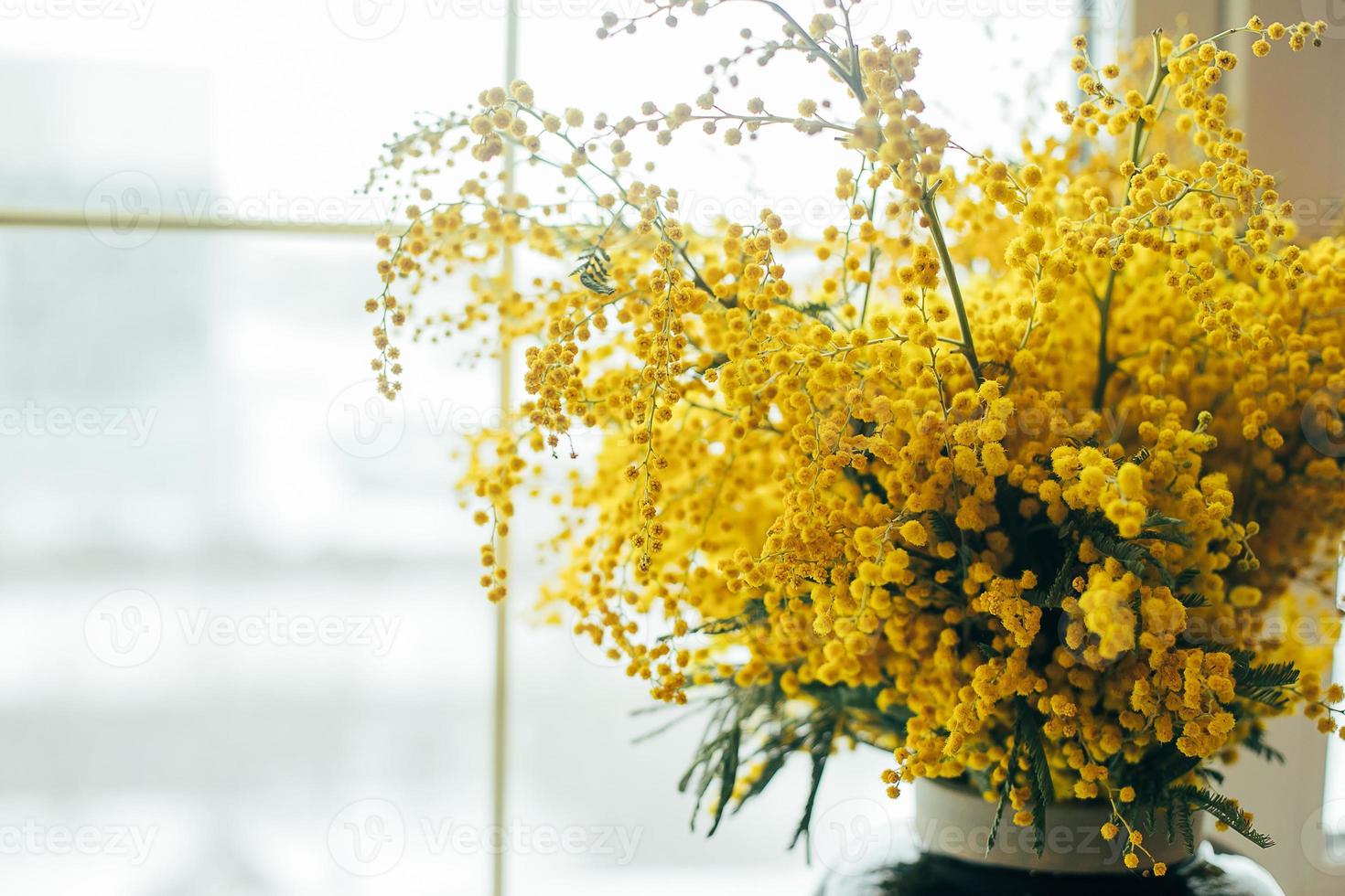 Bouquet of Mimosa flowers in blue vase on the windowsill next to the window. Happy women's day. photo