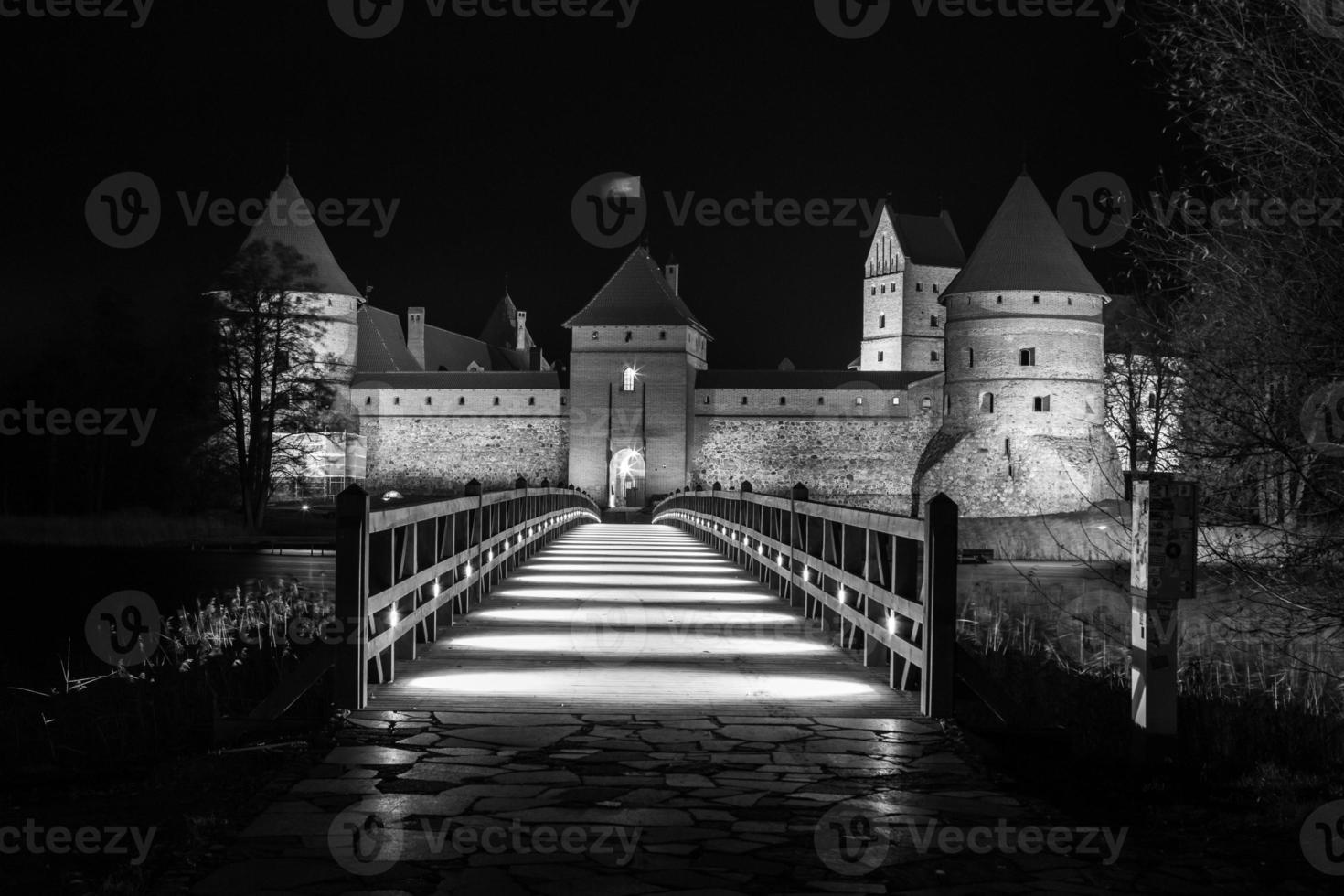 Trakai castle at night photo