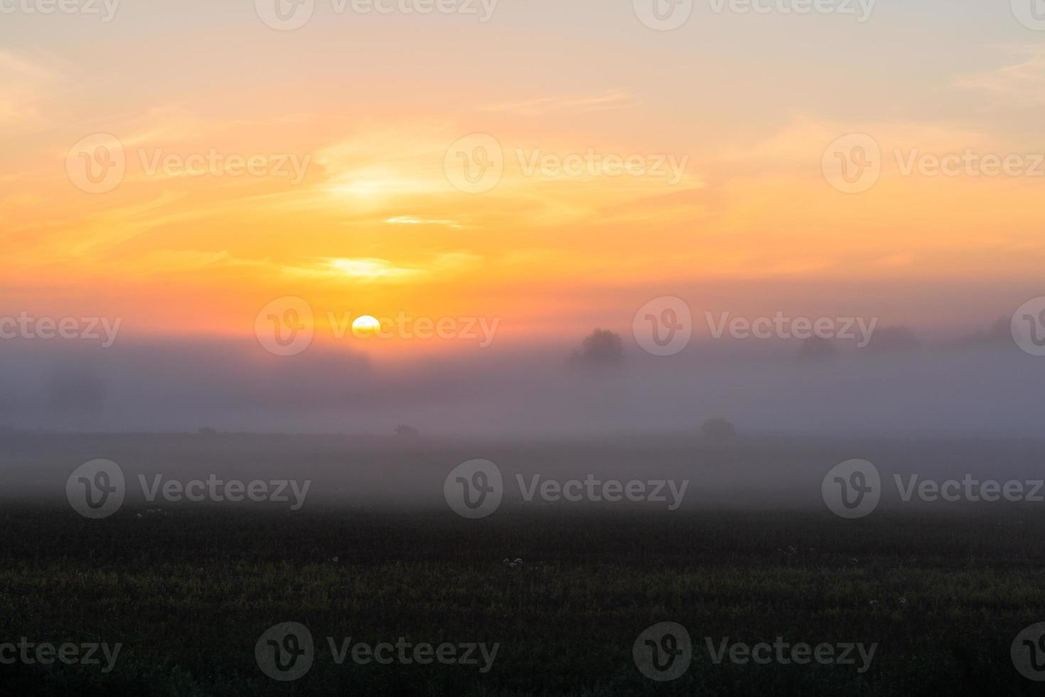 Latvian summer landscapes photo