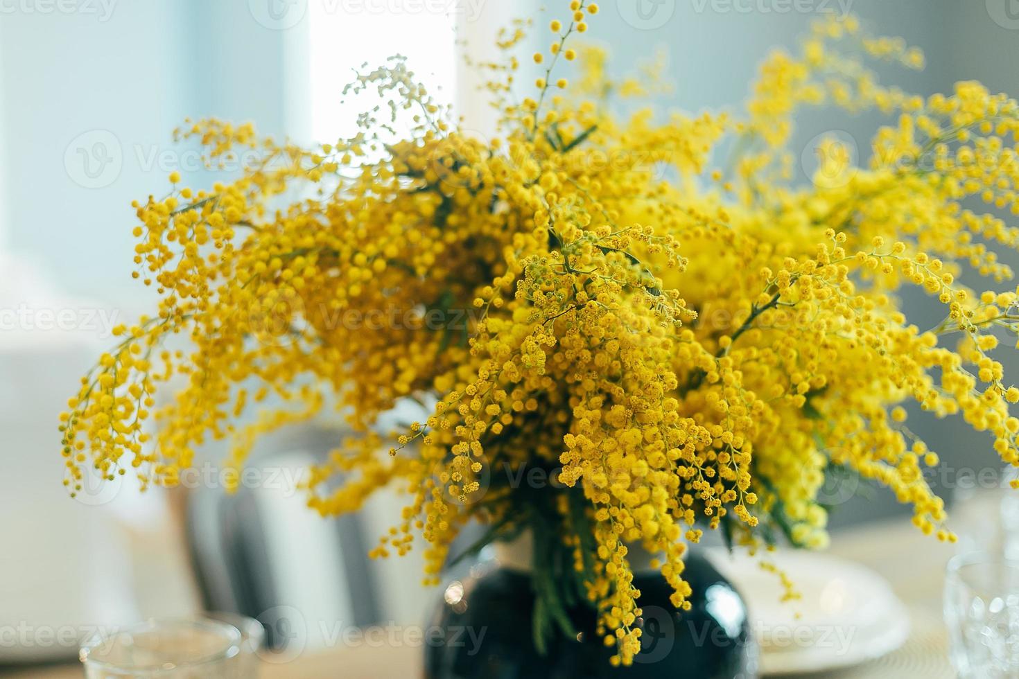 Mimosa flowers in vase on table. Happy womens day or Happy Mothers day greeting card. photo