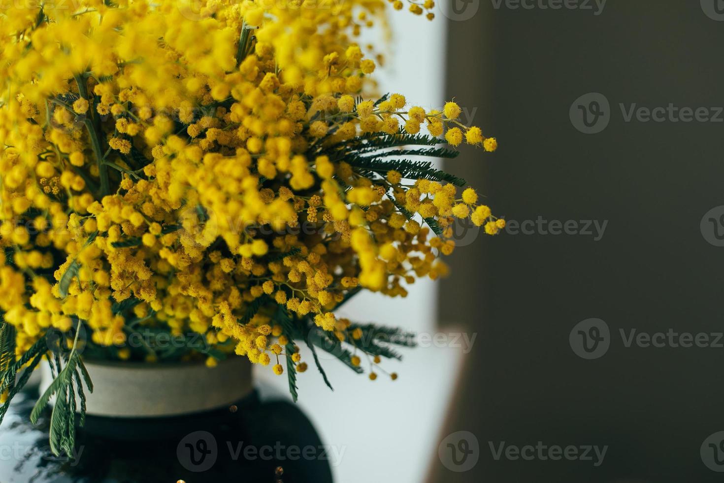 Bouquet of yellow mimosa photo
