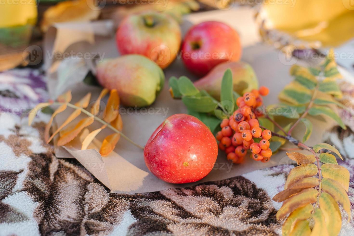 frutas de otoño, manzanas y peras en papel artesanal en una acogedora tela escocesa en el parque de otoño. picnic de otoño foto