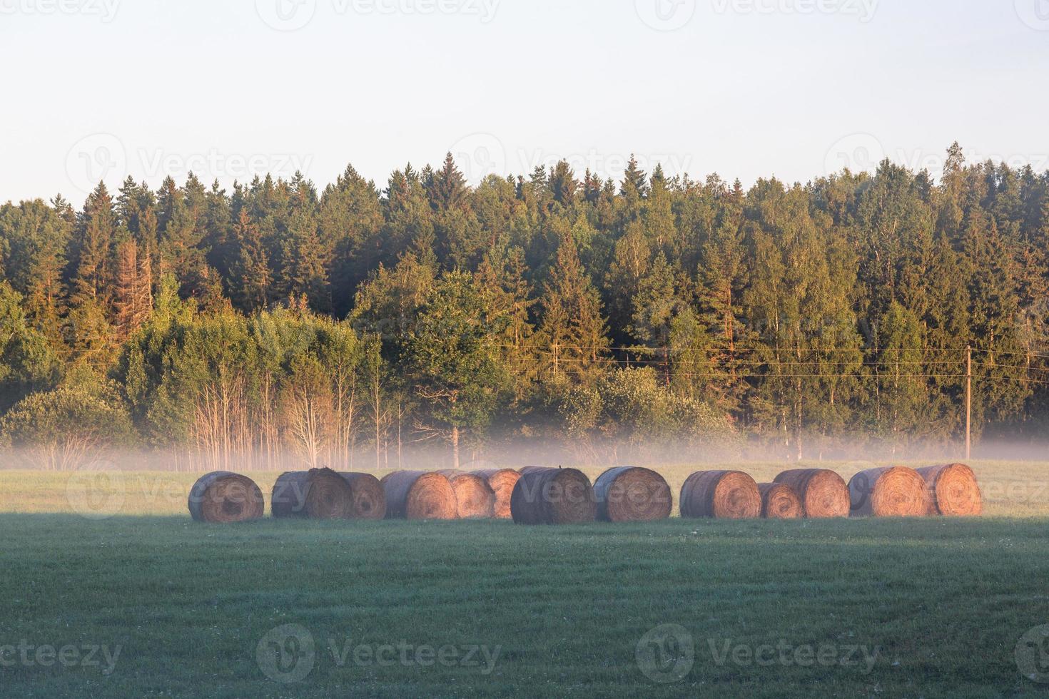 Latvian summer landscapes photo