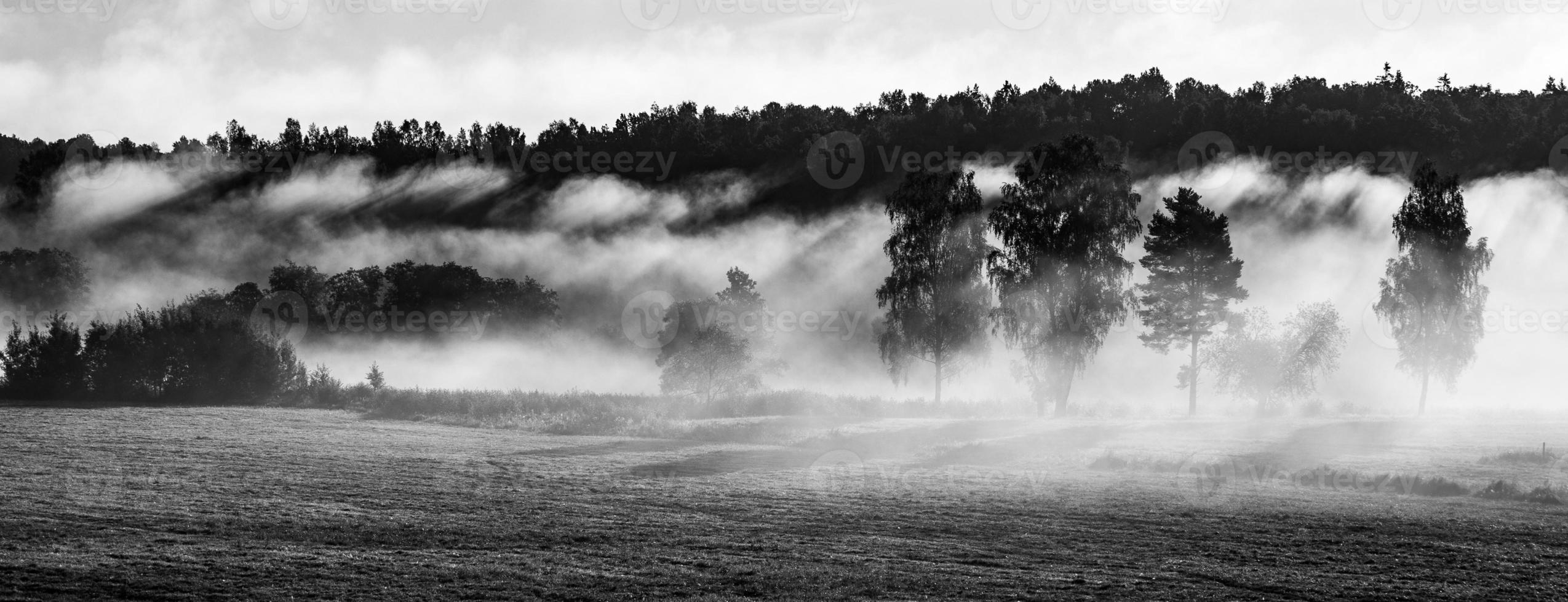 Landscapes of Latvia in Summer photo