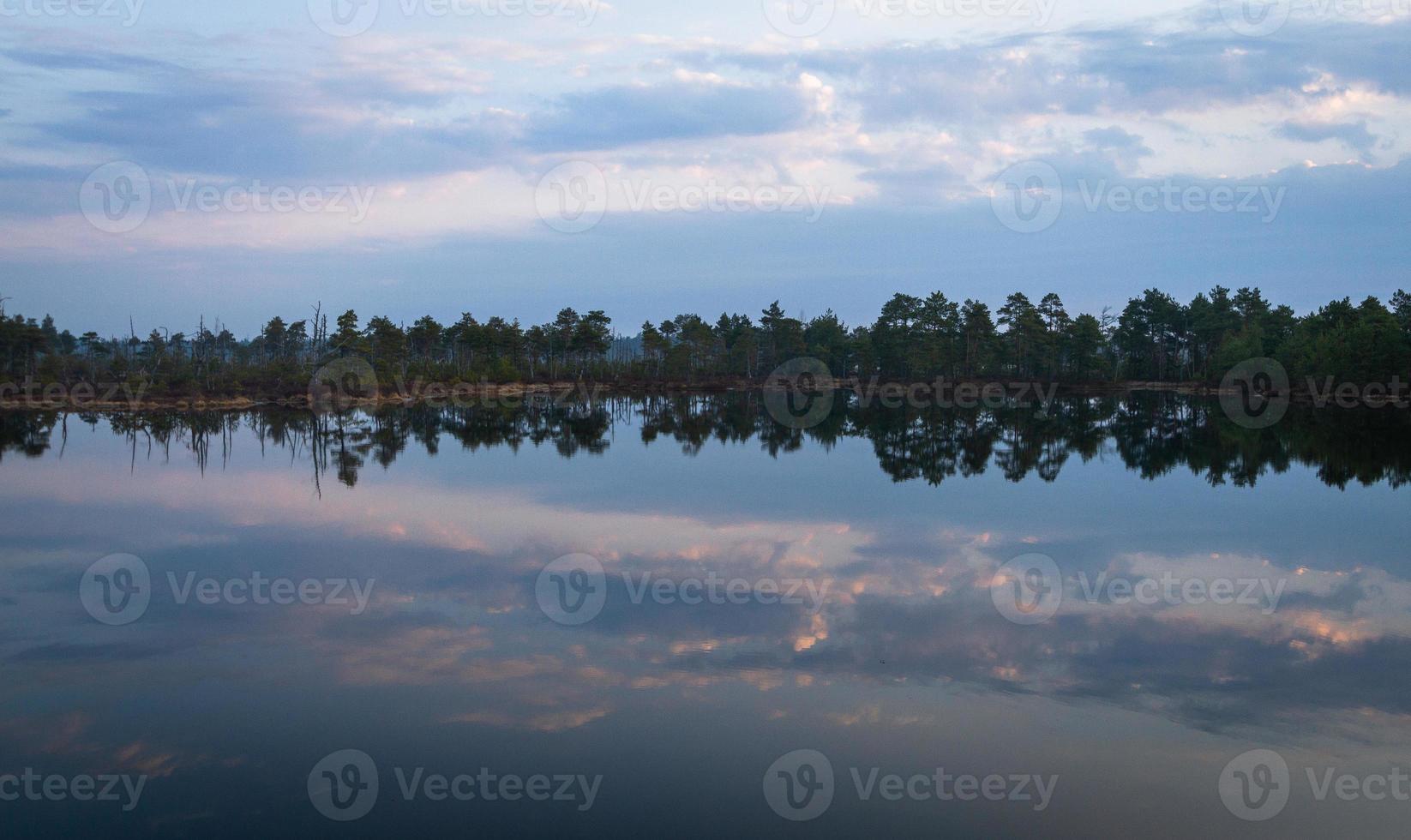 lago pantanoso en primavera foto