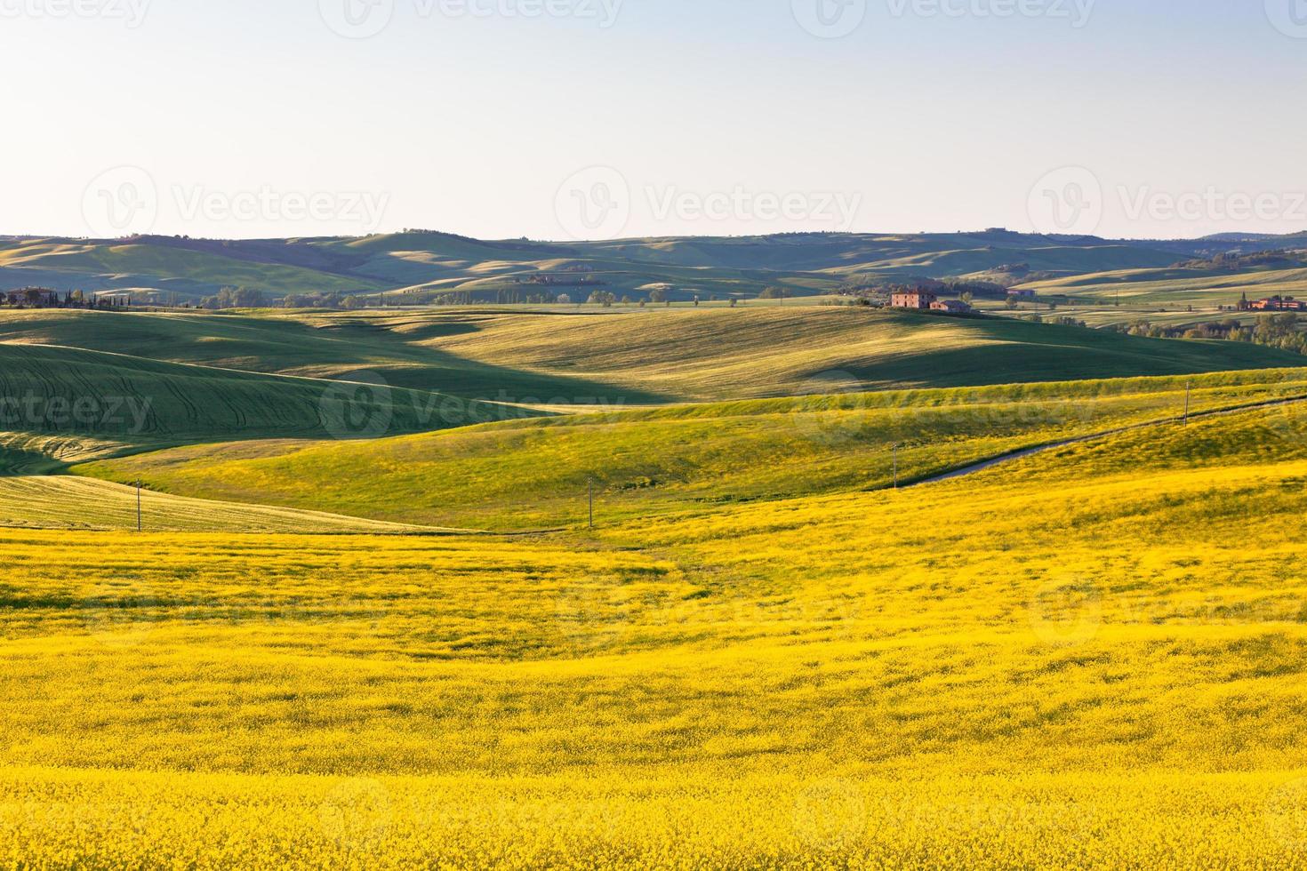 Outdoor Tuscan Val d Orcia green and yellow fields photo