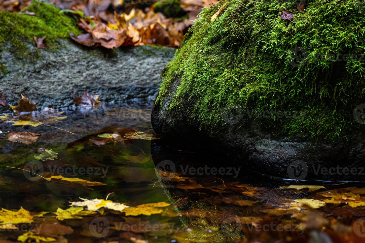 Latvian autumn landscape photo