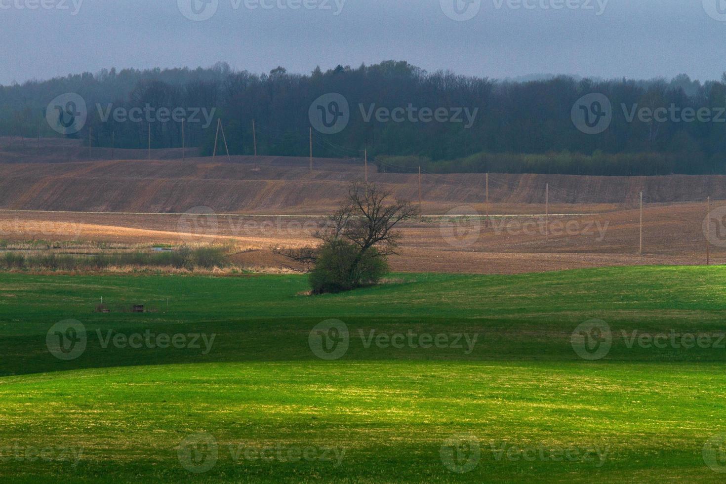 paisajes de primavera de letón foto