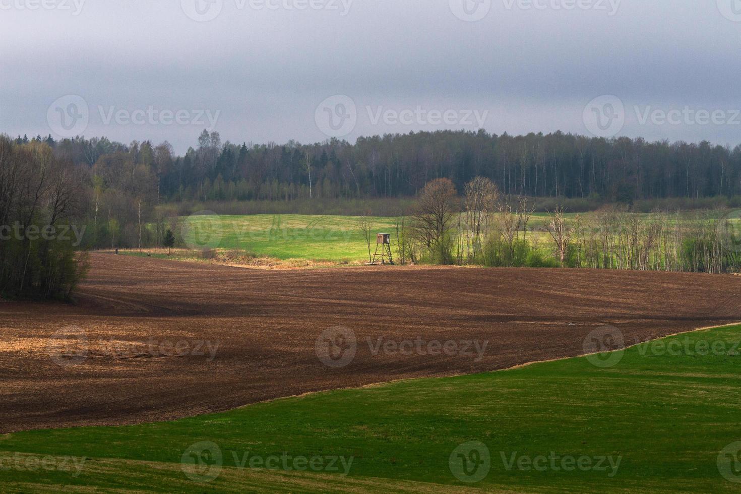 Latvian Springtime Landscapes photo