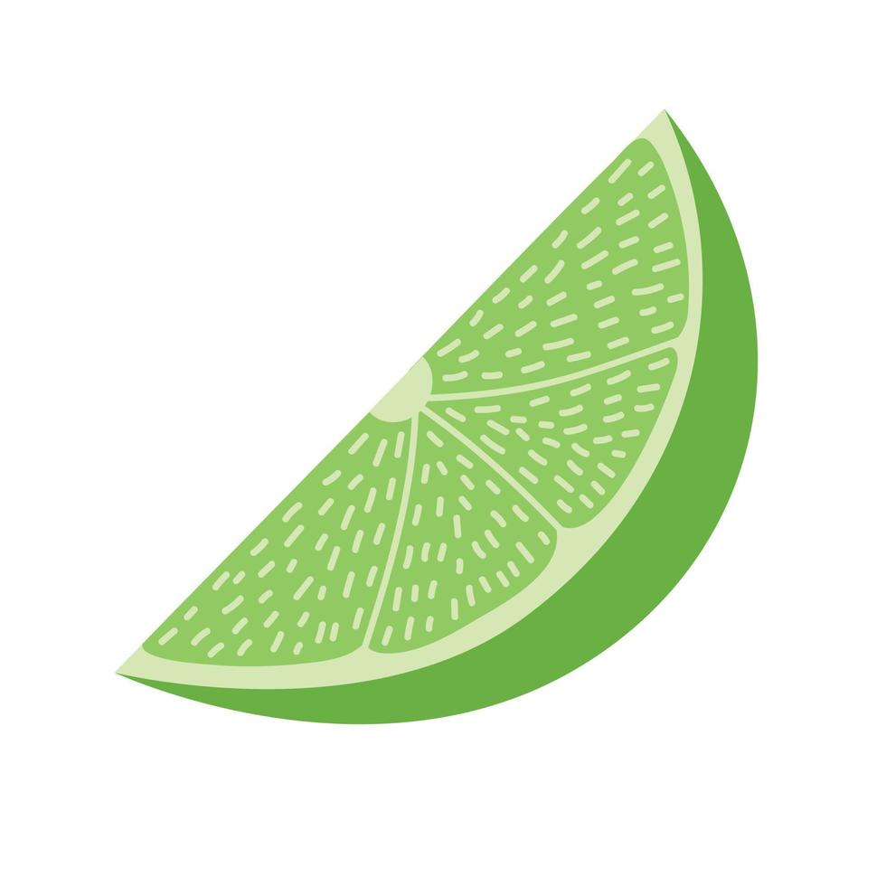 Vector lime fruit illustration. Flat vector lime slice isolated