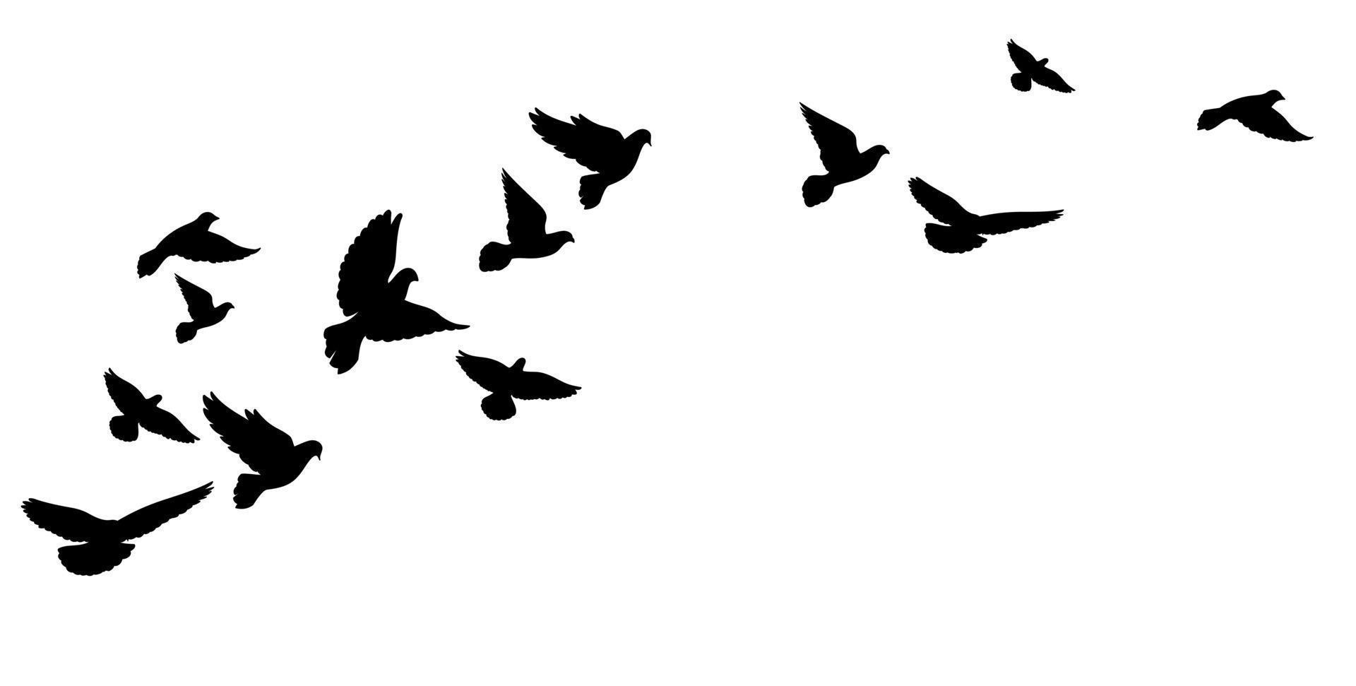 A flying flock of birds, pigeons. Black silhouettes. Vector illustration