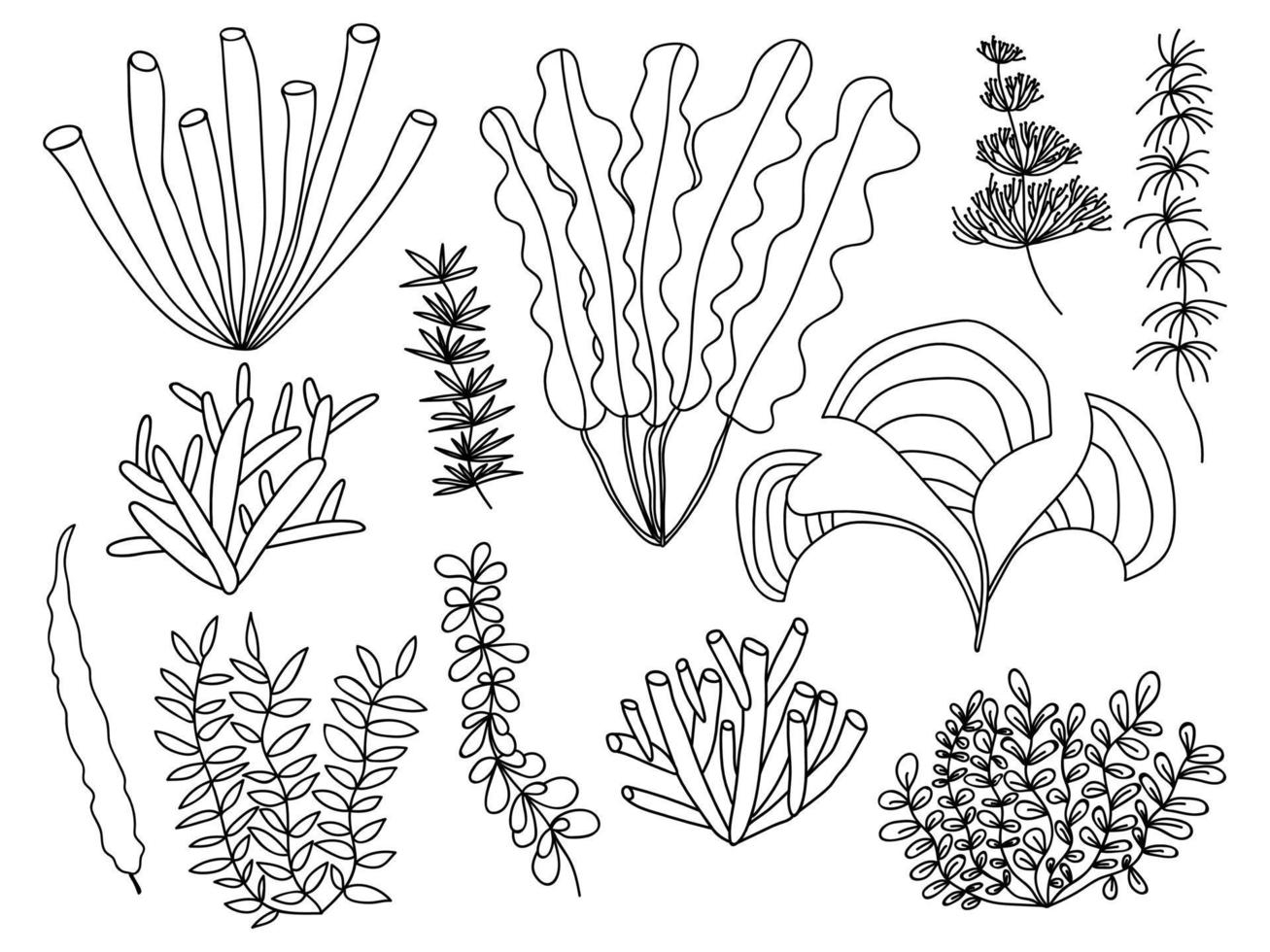 conjunto de vectores de algas marinas. conjunto de diferentes tipos de algas y plantas marinas. ilustración de hierba marina de garabato dibujada a mano.