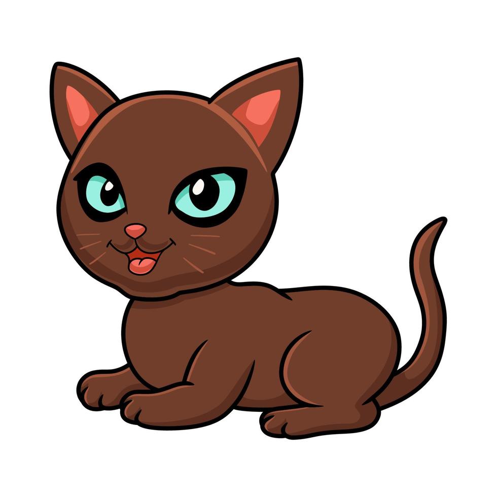 Cute havana brown cat cartoon vector
