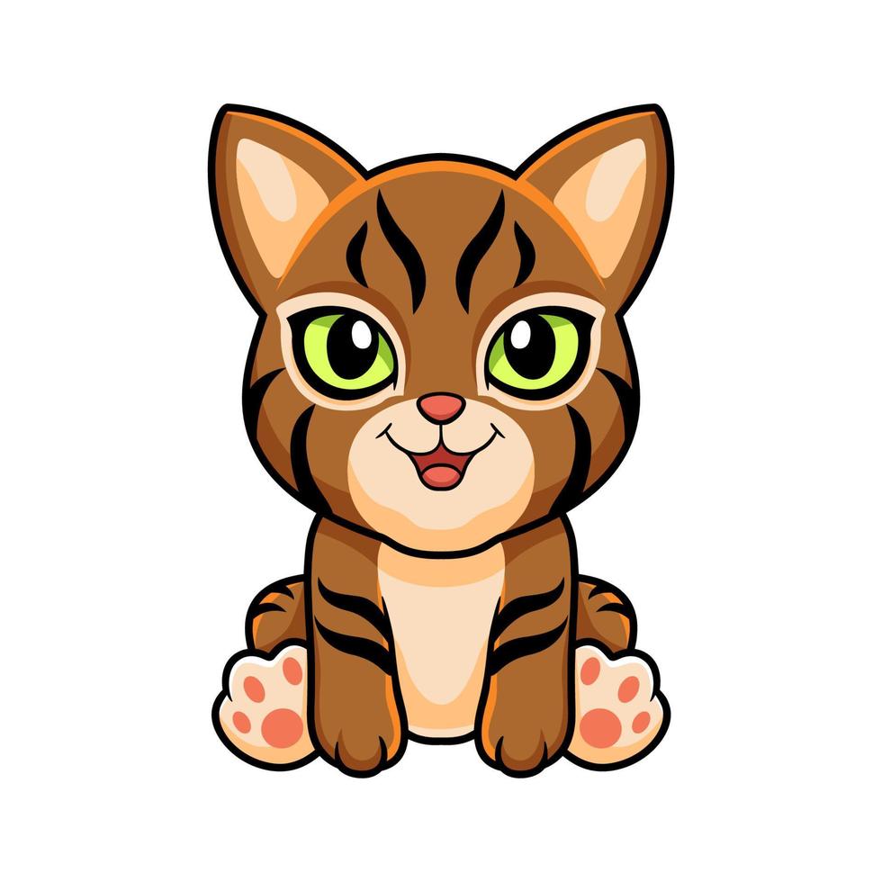 Cute pixie bob cat cartoon vector