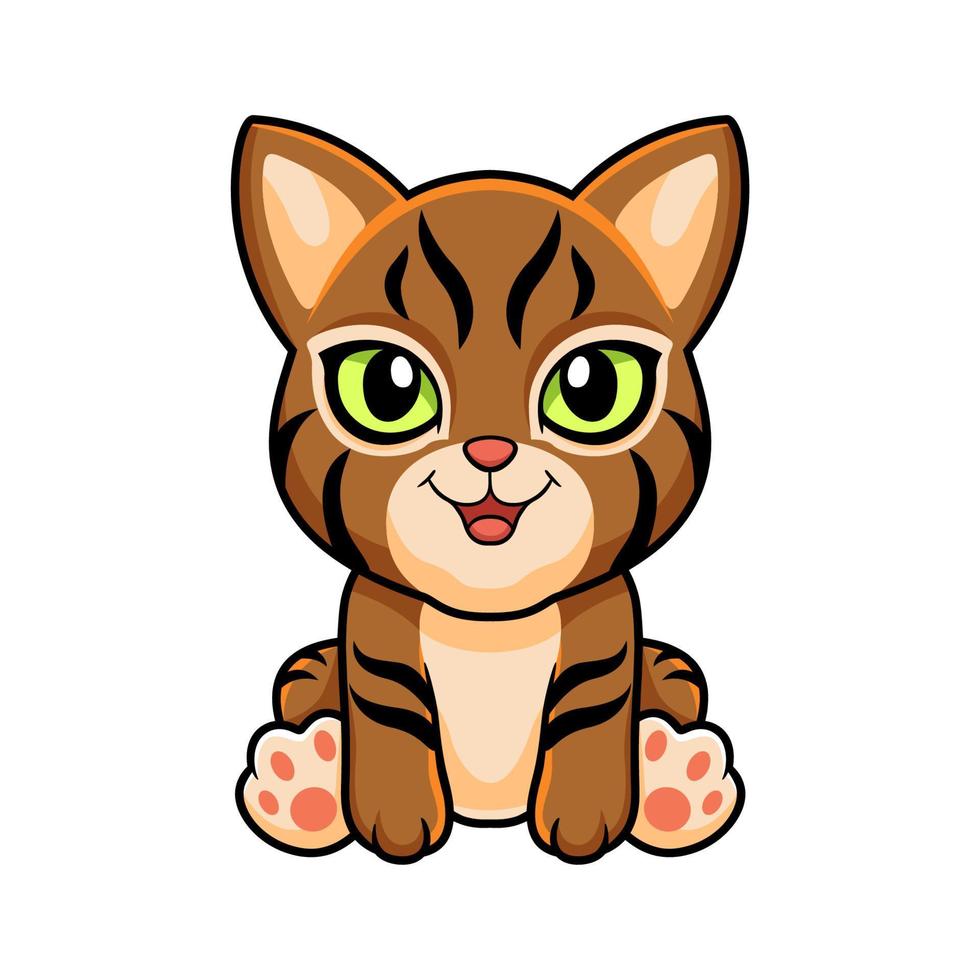 Cute pixie bob cat cartoon vector