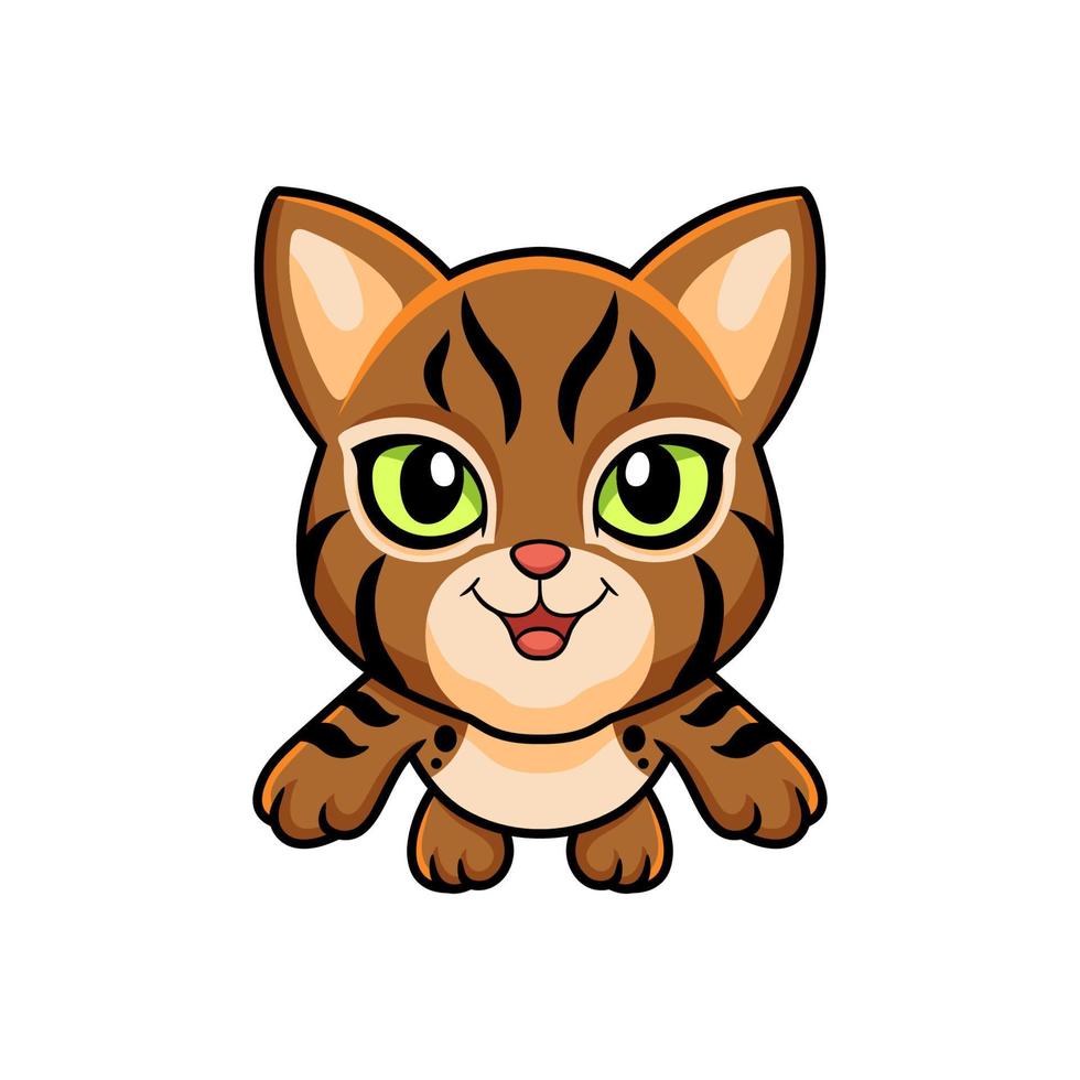 Cute pixie bob cat cartoon flying vector