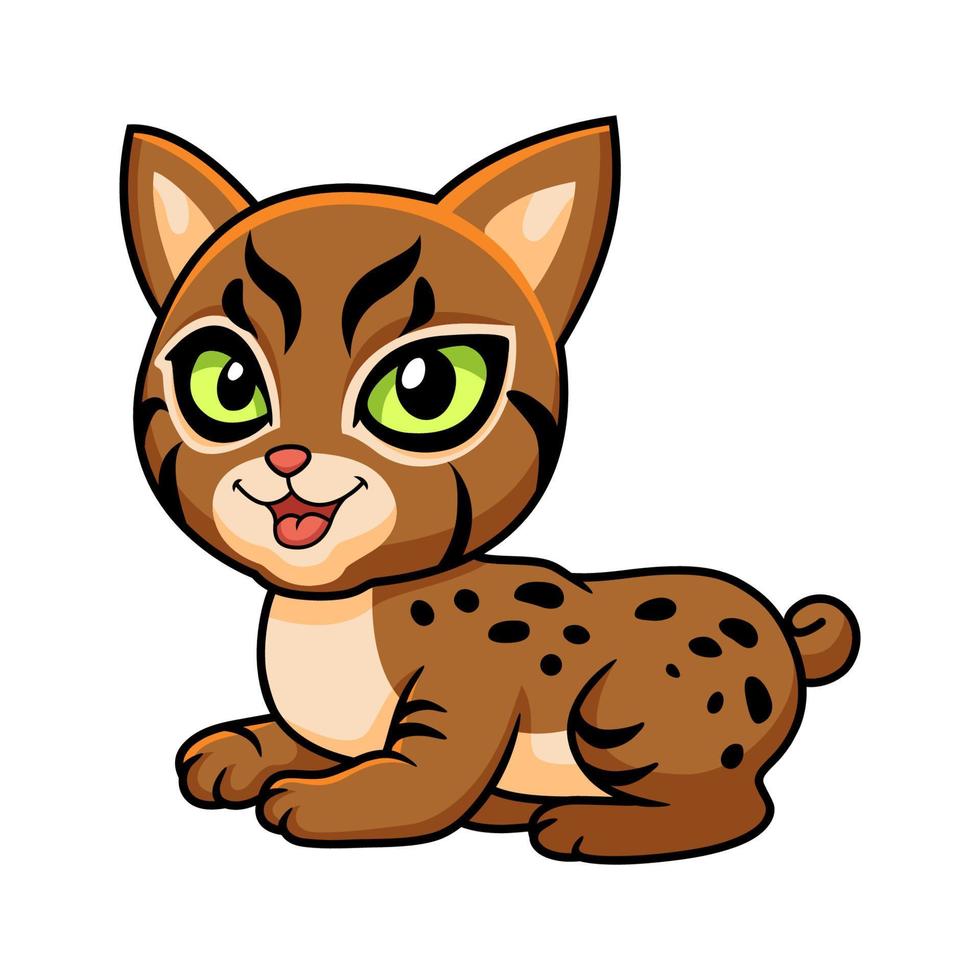 linda caricatura de gato pixie bob vector