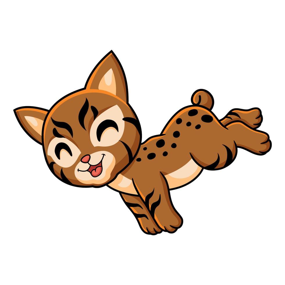Cute pixie bob cat cartoon running vector