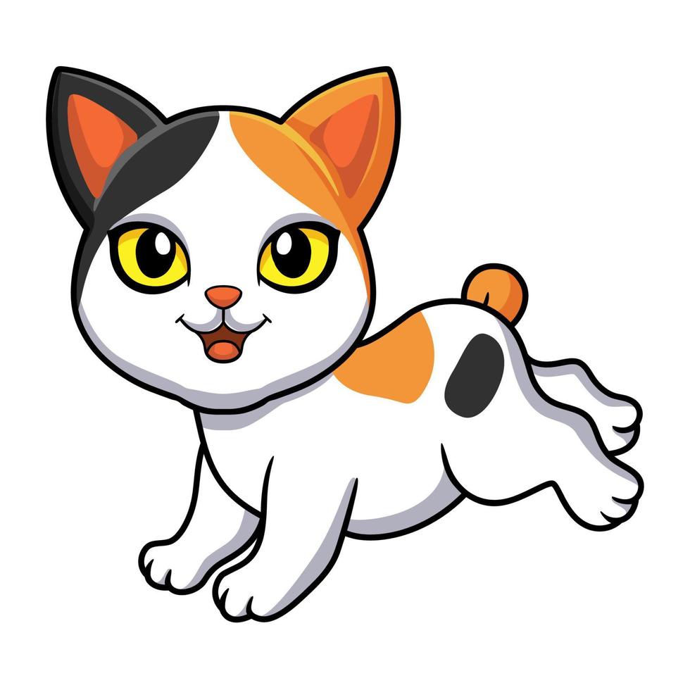 lindo, japonés, bobtail, gato, caricatura vector