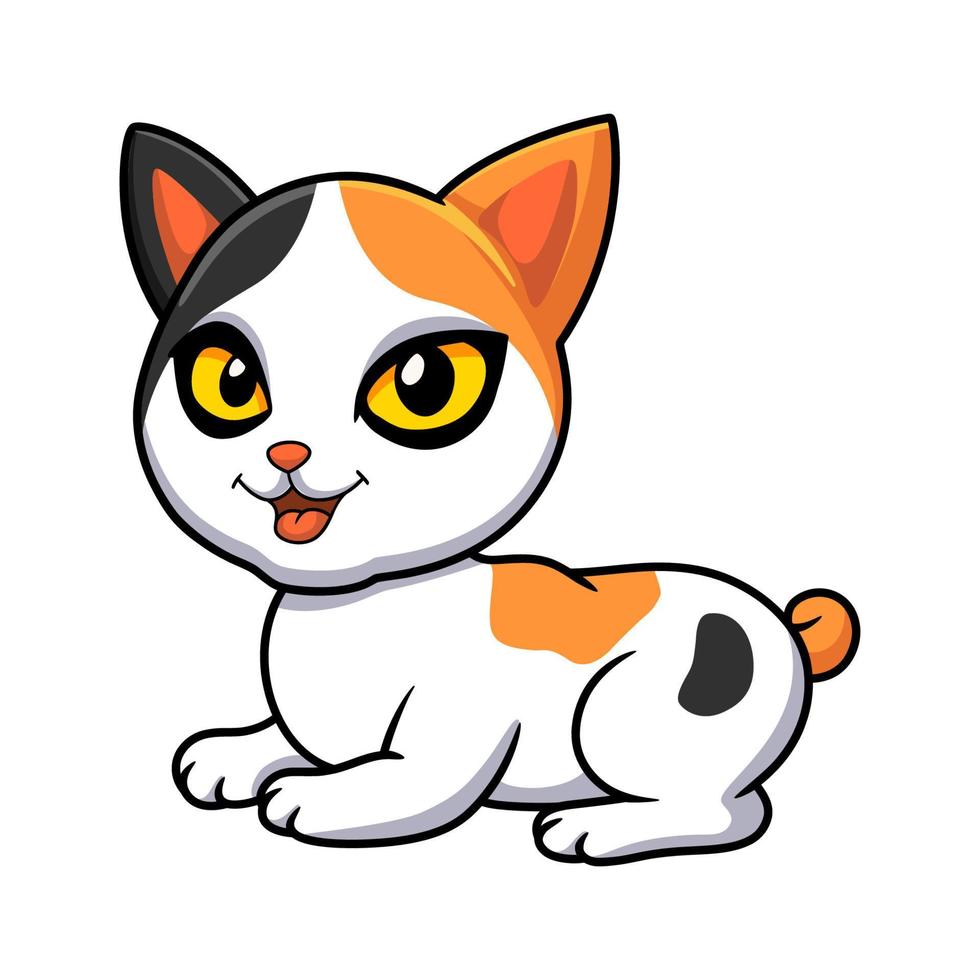 Cute japanese bobtail cat cartoon vector