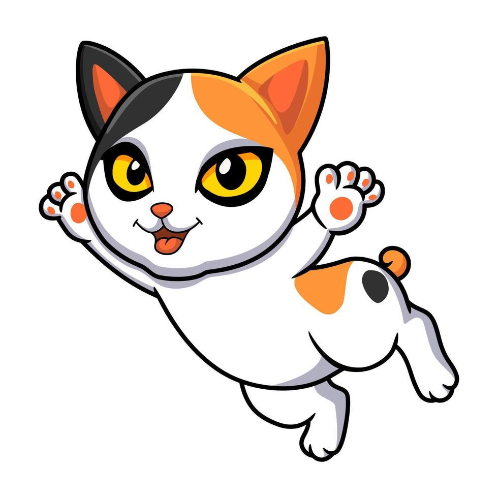 lindo, japonés, bobtail, gato, caricatura vector