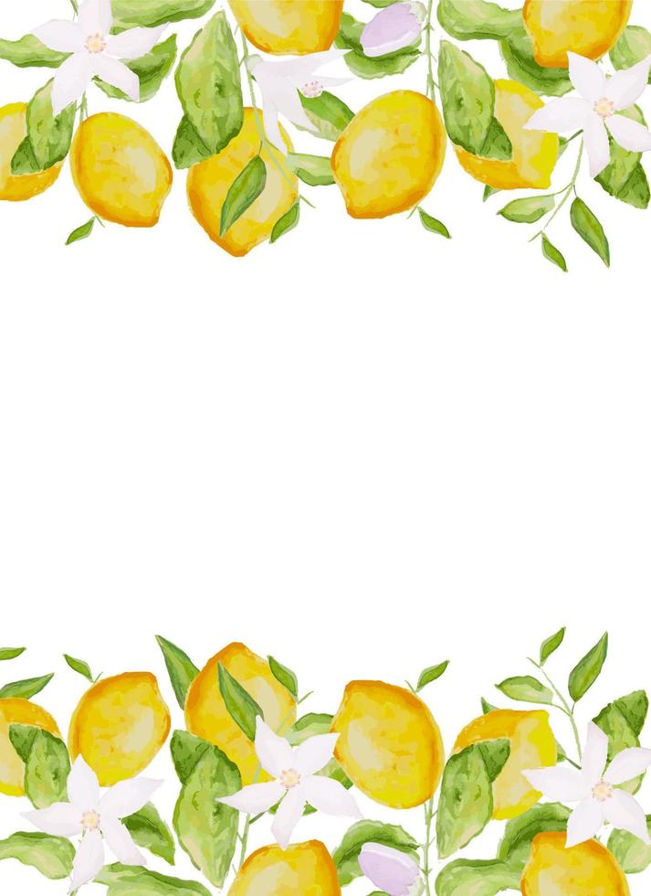 Card template, frame of watercolor hand drawn blooming lemon tree branches, flowers and lemons on white background vector
